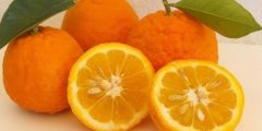 تخفيف الوزن مع رجيم البرتقال