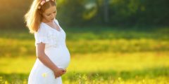 تفاصيل كثيرة عن طبيعة الحمل المهاجر