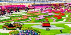حديقة الزهور في دبي