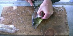 كيفية تنظيف السمك