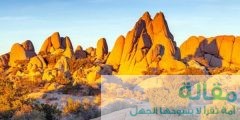 موقع صحراء موهافي