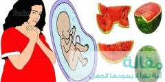 أهمية البطيخ للحامل والجنين