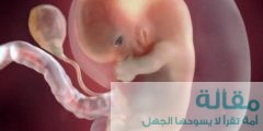معلومات عن الجنين في الشهر الأول