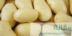 نصائح عند اتباع رجيم البطاطس المسلوقة