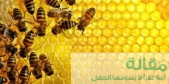 ما هي استخدامات العسل الطبية ؟