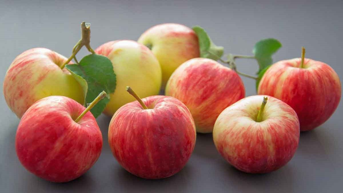 آثار جانبية محتملة لتناول الكثير من التفاح